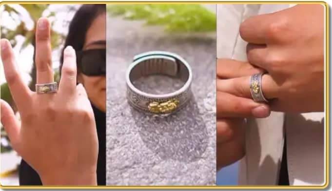 The free Pixiu ring, three angles